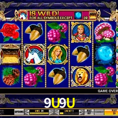 9U9U Fortune Tiger
